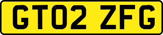 GT02ZFG