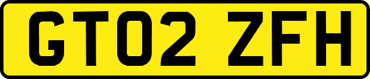 GT02ZFH