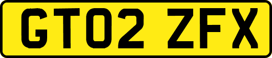 GT02ZFX