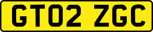 GT02ZGC