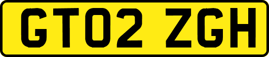 GT02ZGH