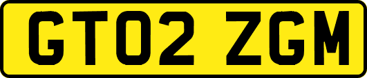 GT02ZGM