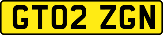 GT02ZGN
