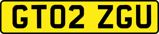 GT02ZGU