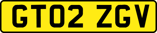 GT02ZGV