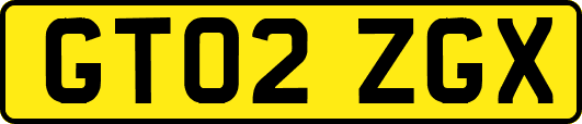 GT02ZGX