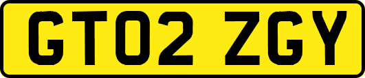 GT02ZGY