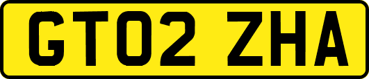 GT02ZHA