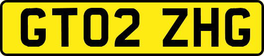 GT02ZHG