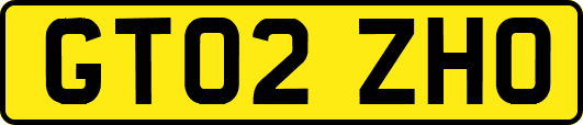 GT02ZHO