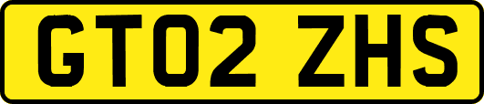 GT02ZHS