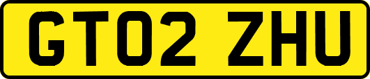 GT02ZHU