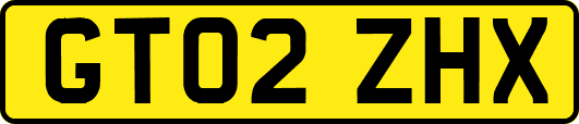 GT02ZHX