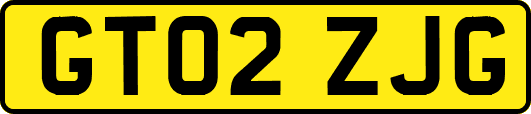 GT02ZJG