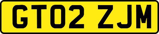 GT02ZJM