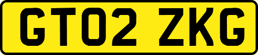 GT02ZKG