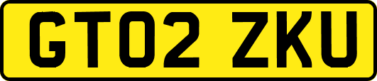 GT02ZKU
