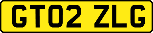 GT02ZLG