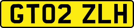 GT02ZLH