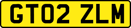 GT02ZLM