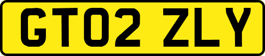 GT02ZLY