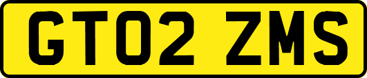 GT02ZMS