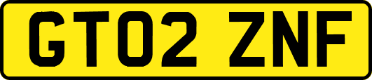 GT02ZNF