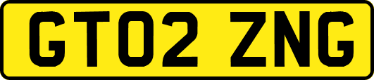 GT02ZNG