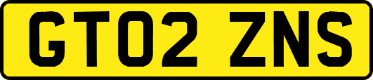 GT02ZNS