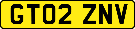 GT02ZNV