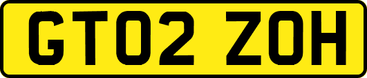 GT02ZOH