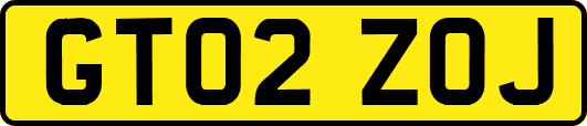 GT02ZOJ