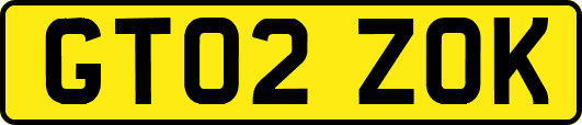 GT02ZOK