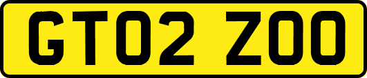 GT02ZOO