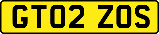 GT02ZOS