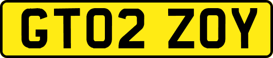 GT02ZOY