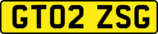 GT02ZSG