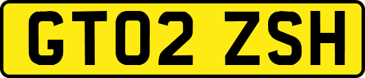 GT02ZSH