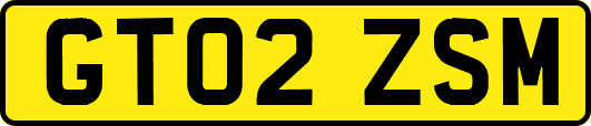 GT02ZSM