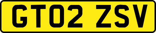 GT02ZSV