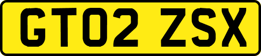 GT02ZSX