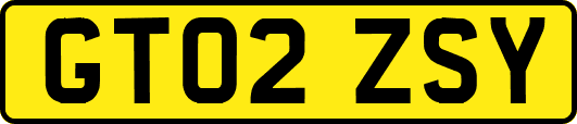 GT02ZSY