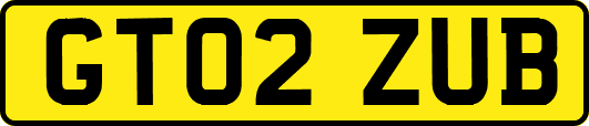GT02ZUB