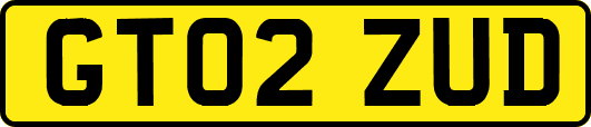 GT02ZUD