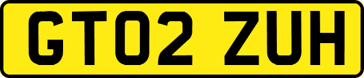 GT02ZUH