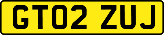 GT02ZUJ