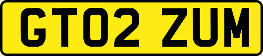 GT02ZUM