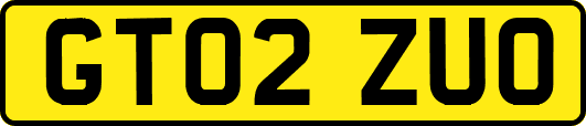 GT02ZUO