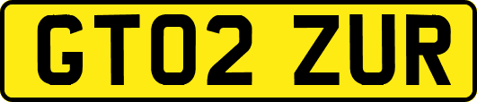 GT02ZUR