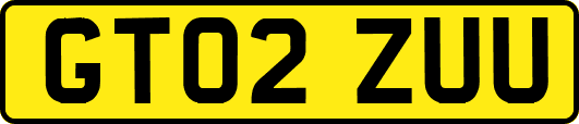 GT02ZUU